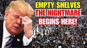 Stop By and See Why Lexus of Wesley Chapel is the Largest Lexus Dealer