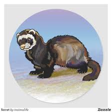 Ferret Classic Round Sticker Zazzle Com In 2020 Round Stickers Dog Bowtie Ferret