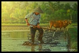 Wallpaper kaligrafi lafadz allah dan muhammad. 20 Koleski Terbaru Sketsa Gambar Orang Mencangkul Di Sawah Tea And Lead
