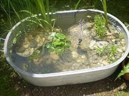 Miniteich In Zinkwanne Fertig Hausgarten Net Miniteich In Zinkwanne Fertig Miniteich01 Jpg In 2020 Garten Garten Ideen Brunnen Garten