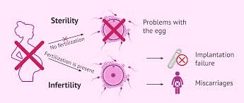 Image result for Female Infertility