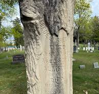 Tree shaped gravestones are unique. Have you ever seen one ...
