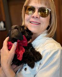 Mini Schnauzer Club of...