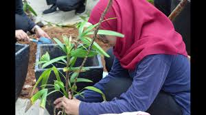 Anda seorang lepasan spm yang berminat untuk masuk kolej komuniti? Sjil Landskap Kolej Komuniti Masjid Tanah Melaka Youtube