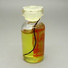 Ia memiliki sifat yg keras dan mudah patah manakala ia berada dalam keadaan kering, tetapi akan menjadi lunak dalam kondisi basah. Jual Minyak Bulu Perindu Asli Dunia Pusaka Sakti