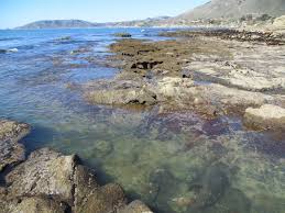 48 Exact Pismo Tide Chart