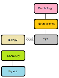 Is Neuroscience Based On Biology Discover Magazine