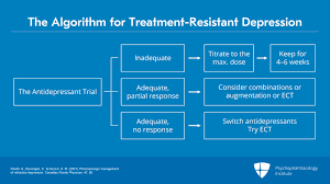 Image result for Refractory Depression Management