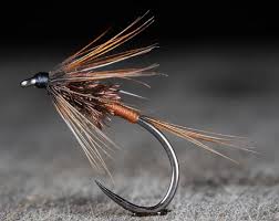 Epingle Par Robertslinda Blogs Sur Mouches En 2020 Materiel De Peche Peche Montage Mouche