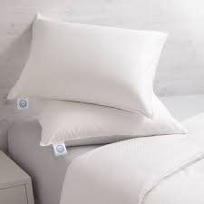 We did not find results for: Contour Spa Pillow Target