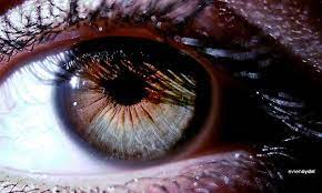 My Unique Eye Aesthetic Eyes Rare Eyes Beautiful Eyes Color