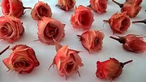 Floral & lifestyle expert julie mulligan teaches you how to preserve fresh flowers in wax like a. They Preserved With A Glycerine Based Solution Together With Natural Food Dyes The Preservation Process Sta Preserved Roses Making A Bouquet Natural Food Dye