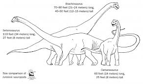 In addition to playing with colors, coloring pages may be used as valuable coloring textbooks for youngsters to do homework or comprehensive their groundwork. 70 Science Coloring Pages Toys Games Learning School Puhlsphotography Com