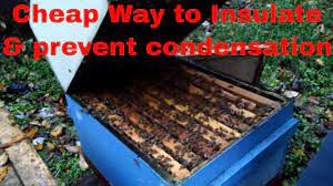Constructing beehives is not hard to do when you have detailed diy beehive plans and ideas available. Cheap Way To Insulate And Prevent Condensation Youtube