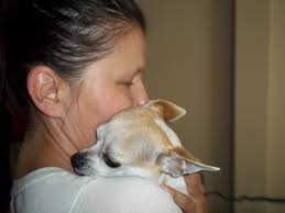 Fundraiser by Tricia Boyko : Mia needs Surgery