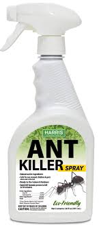 I was washing windows in my kitchen when i noticed some ants crawling on my counter. Harris New Ant Spray Plant Oil Based Quick Ant Killer Formula For Indoor And Outdoor Use 20oz Buy Online In Sri Lanka At Desertcart Lk Productid 115275445