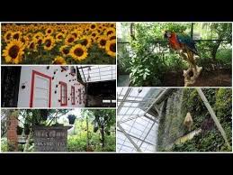 Sky Garden Paris Van Java Pvj Nggak Berasa Lagi Di Atas Mall Begonia Kebun Bunga Kebun