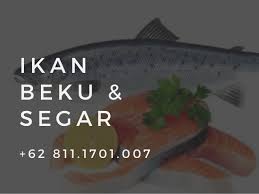 17 ikan hias air laut yang mudah dipelihara ikan merupakan salah satu hewan air yang memiliki banyak fungsi, ada yang bisa di. Ready 62 811 1701 007 Jual Beli Jenis Ikan Salmon Di Malaysia Beku