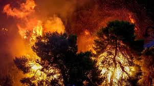 Φωτιά στην ανάβυσσο φωτιά έχει ξεσπάσει στην ανάβυσσο και καίει σε χαμηλή βλάστηση. O Mexri Twra Apologismos Ths Pyrosbestikhs Gia Tis En E3eli3ei Pyrkagies Left Gr