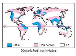 Sebebi yaz mevsiminin çok kısa sürmesidir. Nem Ve Yagis Bilgicik Com Bilgicik Com