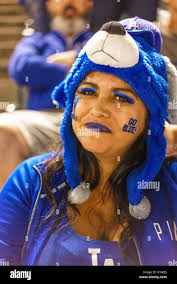 Los angeles dodgers fan hi-res stock photography and images