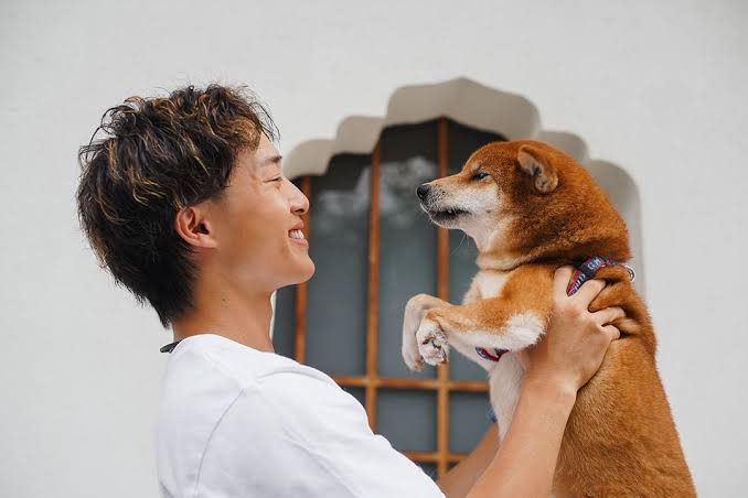 Want a friend in the AI Age? Get a dog - BusinessWorld Online