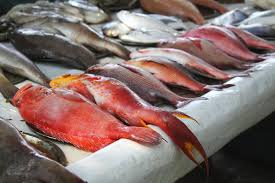 Home health & nutrition which fish is the healthiest to eat? Fish Not The Healthiest Thing You Should Be Eating