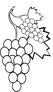 Plusieurs millers de coloriages à imprimer et à colorier sont disponibles gratuitement. Coloriage De Fruits Dessin Raisin Et Feuilles De Vigne A Colorier