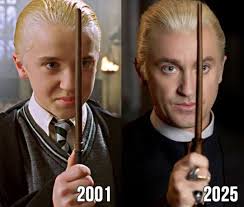 Harry Potter and Draco Malfoy Character Evolution