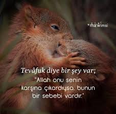 Allah Islam Dua Secde Namaz Nasip Hzmuhammed Mekke Huzur Elhamdulillah Kitapkurdu Insan Semsitebrizi Yazar Ayetler 2020 Inanc Sozleri Dualar Inanc
