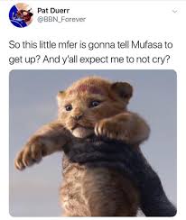 Pin By Nicole Dunneback On Relate Me Lion King Meme King Meme Lion King Funny