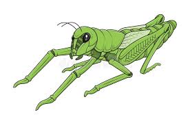 Grasshopper is a visual programming editor integrated with rhinoceros3d of robert mcneel & asscoiates. Green Grasshopper Cartoon Stock Illustrations 917 Green Grasshopper Cartoon Stock Illustrations Vectors Clipart Dreamstime