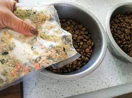 The Farmer S Dog Review 100 Giveaway Dog Food Reviews Dog Food Recipes Pet Food Delivery