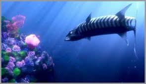 Видео finding nemo barracuda канала riley korus. I Cried When The Barracuda Ate Nemo S Mom And Siblings Home Facebook