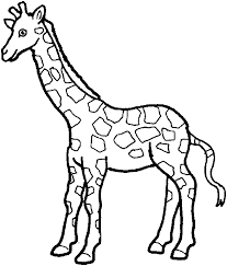 With more than nbdrawing coloring pages zoo, you can have fun and relax by coloring drawings to suit all tastes. Drawing Zoo 12745 Animals Printable Coloring Pages