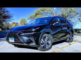 Image result for Caviar 2018 NX