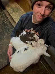 Pet taking over personal space