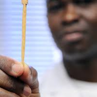 PDF) A Multiplex Landscape Explorations of Place and Practice in Osun  Grove, Nigeria