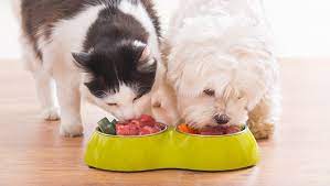 Dear Labby Why Is Cat Food Dangerous For My Dog Dogtime