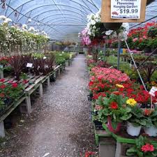 City government offices will be closed in honor of independence day, observed on monday, july 5. Hewitt S Guilderland 15 Photos Christmas Trees 1969 Western Ave Albany Ny Phone Number Yelp