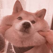 Ulzzang Icons Tumblr Cute Puppies Baby Animals I Love Dogs