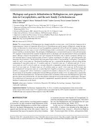 Image result for Pharnaceum brevicaule