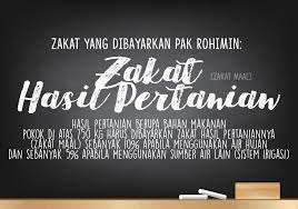 Pak Rohimin Seorang Petani Tradisional Yang Memiliki Sawah Tadah Hujan Pada Saat Panen Mampu Brainly Co Id