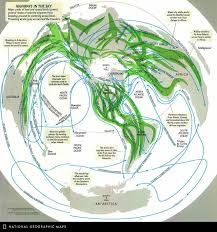 This 1979 Map Of Highways In The Sky Depicts Bird Migration Routes Around The World Major Paths Of Land And Coastal Bird Migration Coastal Birds Cartography