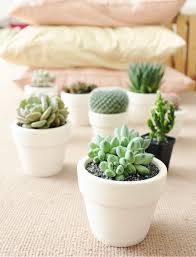 See more ideas about clay pinch pots, pinch pots, clay. This Pot Is Made Of White Clay Pot Unglazed Succulents Houseplants White Planter Terracotta Homedecor Clay Plant Pots Clay Pots Small Terracotta Pots