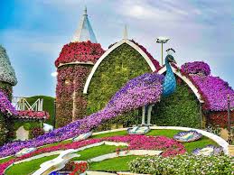 The dubai miracle garden is one of the most treasured dubai sightseeing places. Photos Gulf News Readers Share Pictures Of Beautiful Places To Visit In Abu Dhabi Dubai Sharjah Fujairah And Ras Al Khaimah Readers Photos Gulf News