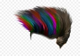 Zip file picsart background hair png. Cb Hair Png Boys Hair Style Edit Hair Png Free Transparent Png Images Pngaaa Com