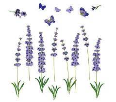 Best Lavender Clipart 24250 Clipartion Com Flower Clipart Butterfly Clip Art Clip Art Vintage