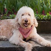 TERRY BERENSON PHOTOGRAPHY