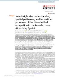 Pdf New Insights For Understanding Spatial Patterning And Formation Processes Of The Neanderthal Occupation In The Amalda I Cave Gipuzkoa Spain